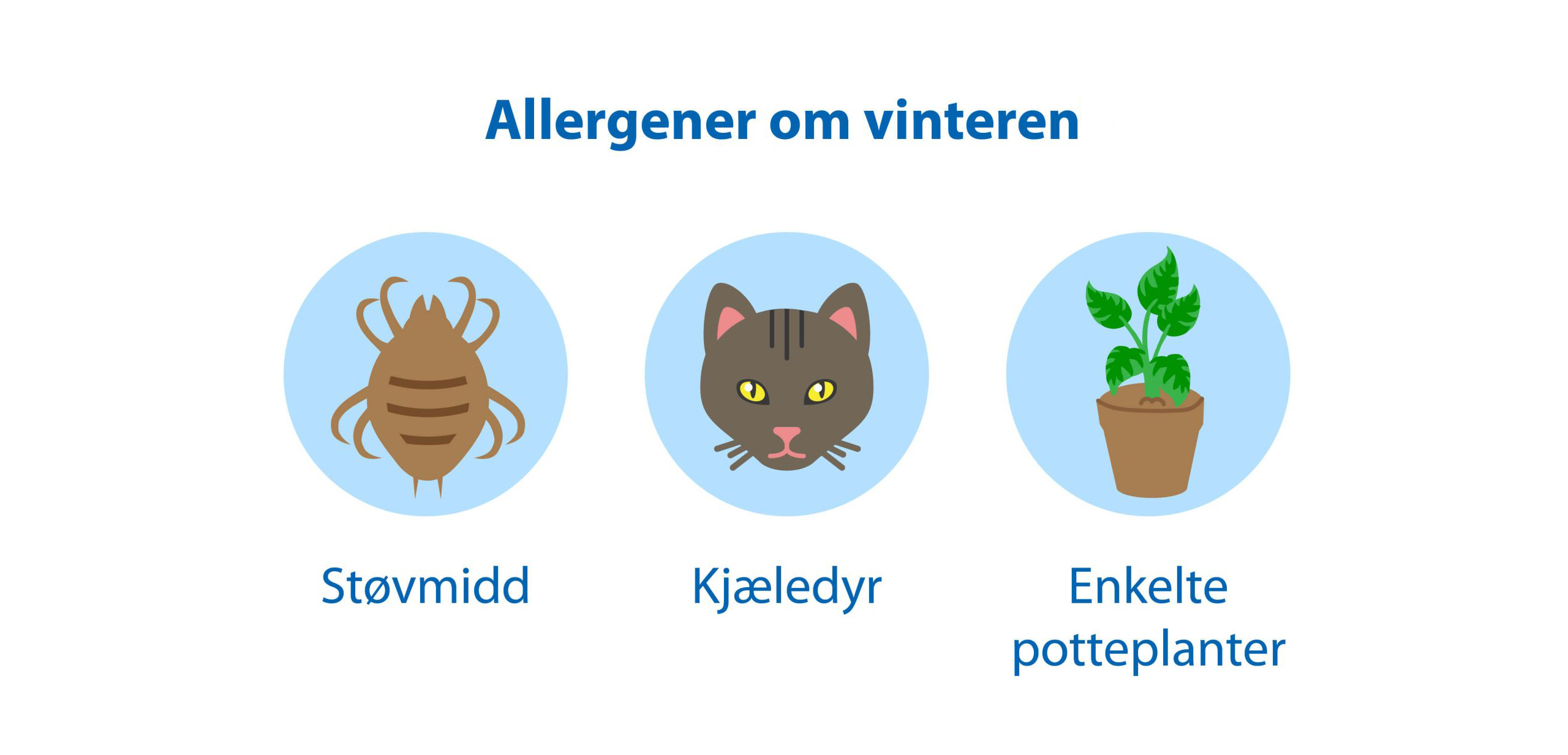 Allergener om vinteren