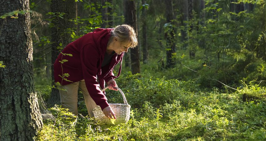 Hvordan gjenkjenner du allergisk rhinitt?