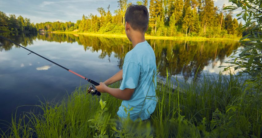 Allergi, familie og barn